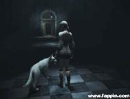 Haunting Ground