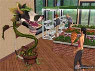 The Sims 2: University