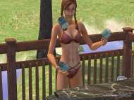 The Sims 2