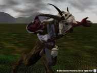 Warhammer Online