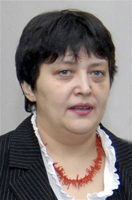 Damila Stehlíková, ministryn bez portfeje