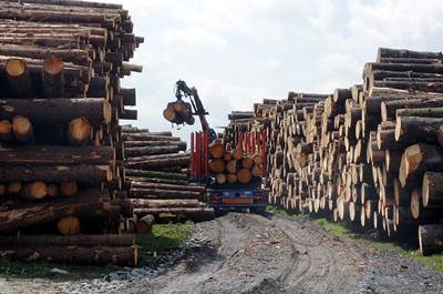 Holding CE Wood je nejvtím seskupením v eské republice, které se zabývá výrobou, zpracováním a prodejem deva.