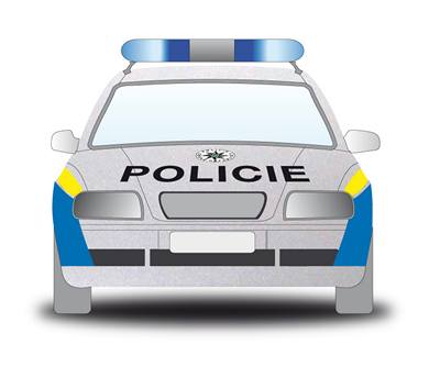 Nové policejní vozy budou stíbrné barvy s vodorovným modrým pruhem na bocích a kratími modrými a lutými pruhy na zadní ásti vozu. Znaky koda.