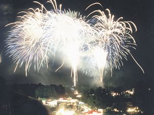 Začátkem května v Bonnu a v jeho okolí koná festival ohňostrojů „Rýn v plamenech“.