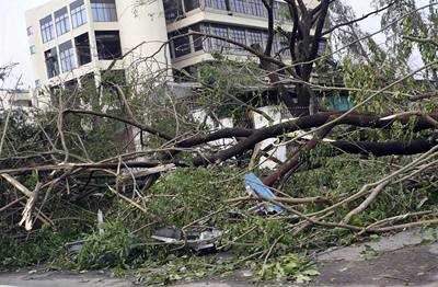 Cyklon Nargis niil budovy a kácel stromy i v oblasti barmského Jangonu.