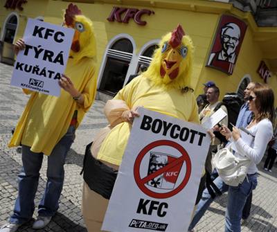 Aktivisté ze Spolenosti na ochranu zvíat protestovali v Praze ped pobokou KFC (Kentucky Fried Chicken) proti zpsobu velkochovu kuat.