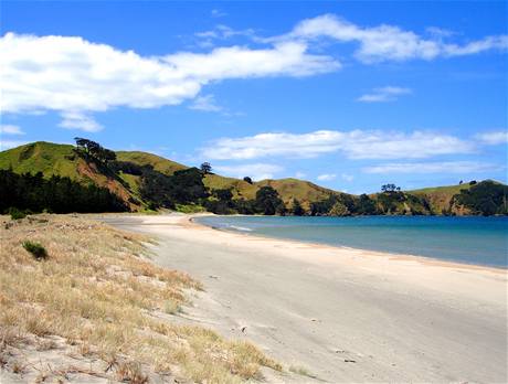 Ostrov Great Barrier Island stoj za nvtvu.