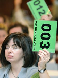 Hlasovn na mimodn valn hromad Demokratick vzvy Strany zelench, kter se konala 4. dubna v Obecnm dom v Praze.