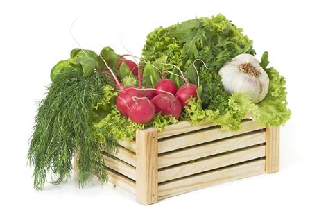 Kolektivní nákupy u farmá si nacházejí cestu mezi echy, kteí nejsou spokojeni s nabídkou ovoce a zeleniny v supermarketech.