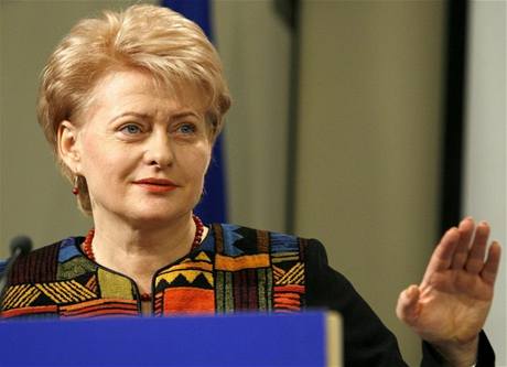 Dosavadní eurokomisaka pro rozpoet Dalia Grybauskaiteová je podle przkum nejvtí favoritkou na novou hlavu státu v Litv.