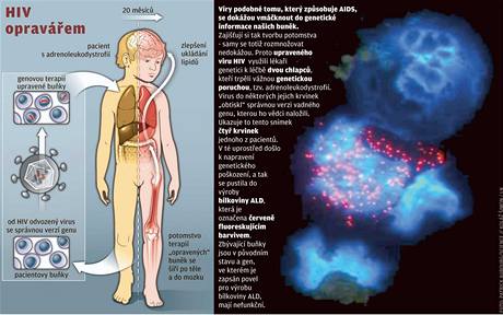 HIV opraváem 