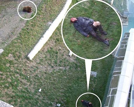 Napadený mu v bernském medvdím parku. elmu zastavil a výstel policisty
