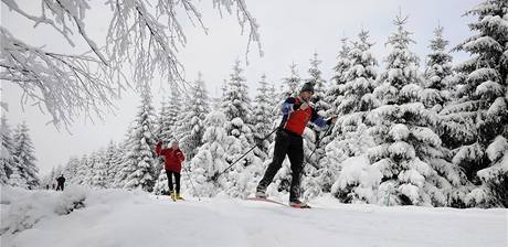 Lyai na Jizerskohorsk magistrle v osad Jizerka na Jablonecku