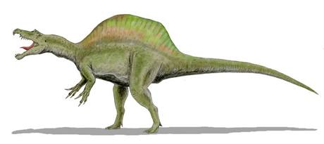 Spinosaurus