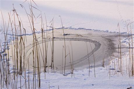 Zamrzlý rybník - ilustraní foto