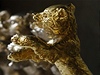 Hlavní cena Berlinale Zlatý medvd