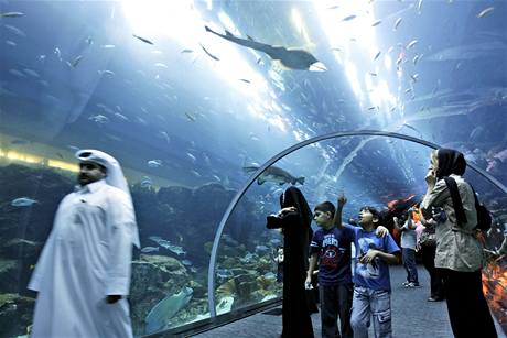 Obí akvárium v nejvtím obchodním stedisku v Dubaji