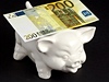Euro a spoc prastko (ilustran foto)