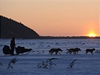 Iditarod, závod psích speení napí Aljakou.