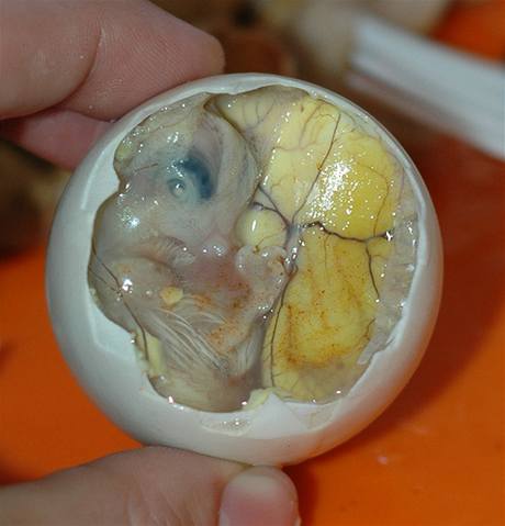 Vaené vejce s vyvinutým embryem balut - filipínská specialita 