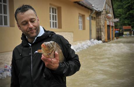 Záplavy postihly i Maarsko. Obyvatelé Felsohamoru chytali kapry v zatopených ulicích. 