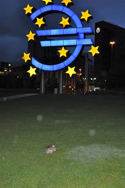 Euro ve Frankfurtu nad Mohanem.