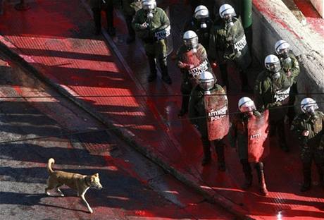 Zde 18. prosince 2008. Pes, kter nevynechal ani jednu eckou demonstraci po cel lta. 