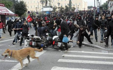 Zde 6. prosince 2009. Pes, kter nevynechal ani jednu eckou demonstraci po cel lta. 