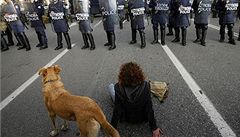 Zde 22. prosince 2008. Pes, který nevynechal ani jednu eckou demonstraci po celá léta. 