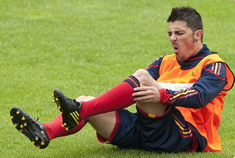 David Villa