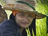 Práce na rýových plantáích v Thajsku.