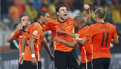 Brazílie - Nizozemsko (Nizozemci slaví vyrovnávací gól)