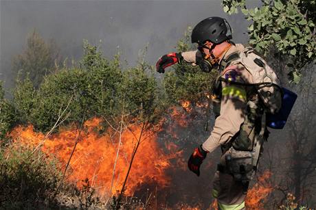 Bhem víkendu likvidovali hasii na Sicílii 18 poár, které zpsobilo extrémn teplé poasí - ilustraní foto.