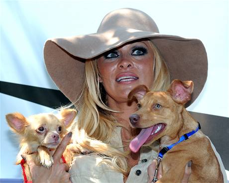 Pamela Andersonová si nechala dva psy oputné do ropné havárii, ostatním zaplatila pevoz do nových domov.