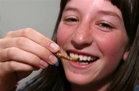 Ochutnávání erv v rámci pednáky o jedlém hmyzu.