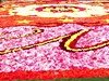 Kvtinový koberec je vyroben ze 150 tisíc kvtin.