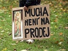 Protesty obyvatel Moravského Krumlova dopravázelo sthování první obraz Slovanské Epopeje.