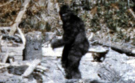 Bigfoot