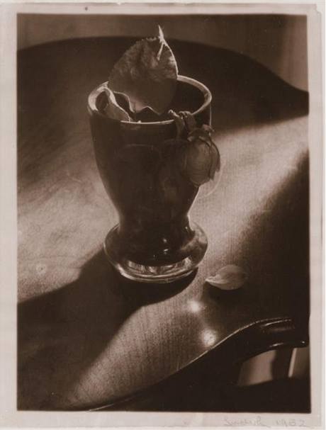 Josef Sudek: Vza s uschlou r