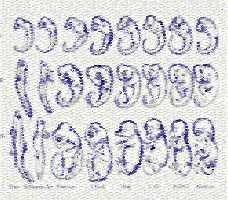 Embrya obratlovc sestavená z aktivních gen muky octomilky. Mozaika je inspirována kresbou Ernsta Haeckela nmeckého biologa devatenáctého století. Tento snímek pouila redakce asopisu Nature na titulní stránku prosincového vydání.