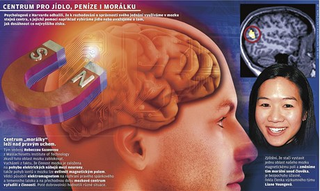 Mozek a morlka - grafika.