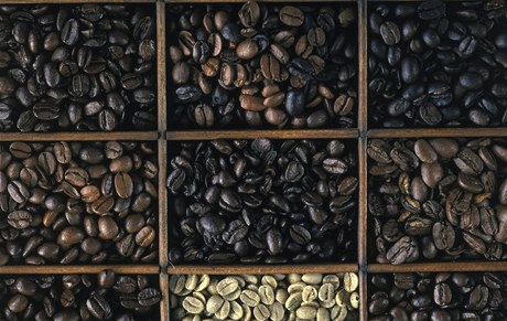 Rzné druhy kávových zrn pak pedurují i rznou chu horkého nápoje. V hlavních kategoriích me být kyselá, sladká, slaná a hoká.