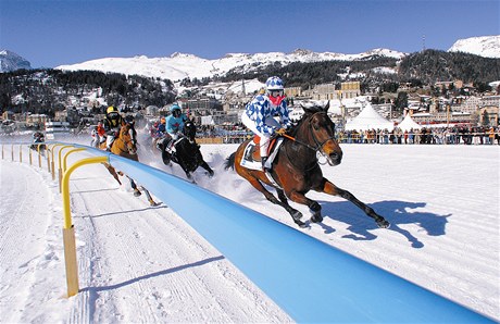 Burácející kopyta títící ledovou plochu svatomoického jezera lákají kadoron na Mezinárodní koský dostih White turf tisíce návtvník (vdy v nedli, te 20. února)