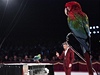 Vystoupení papouk na Cirkus Cirkus Festivalu