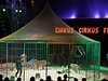 Vystoupení divokých koek (Cirkus Cirkus Festival)