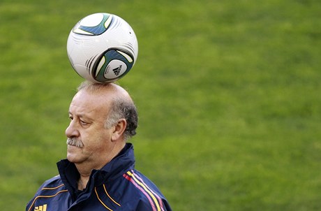 Vicente del Bosque.