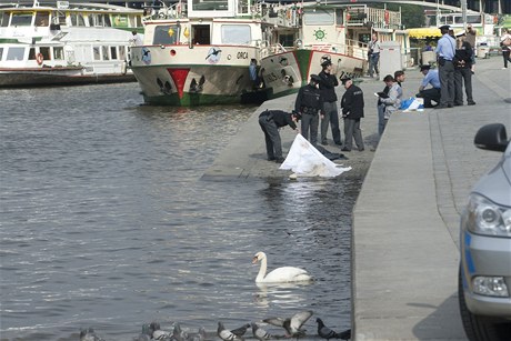 Policie objevila pod echovým mostem mrtvolu