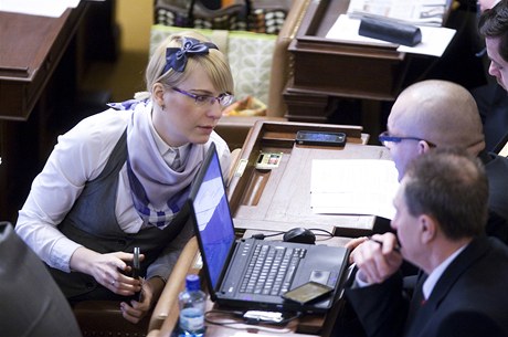 Kristýna Koí hovoí s Jaroslavem kárkou na pde poslanecké snmovny