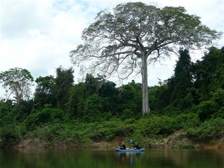 Na ece, Surinam