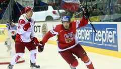 Milan Michálek slaví jeden ze svých dvou gólů v dánské síti. | na serveru Lidovky.cz | aktuální zprávy
